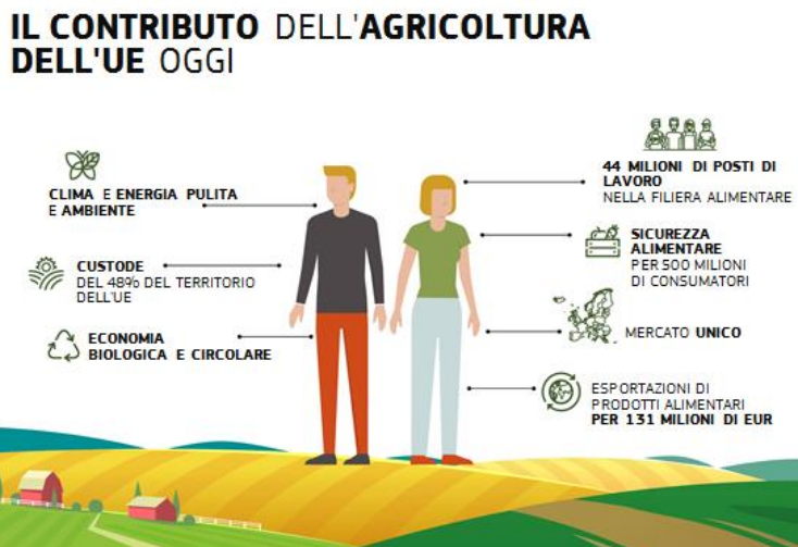 430 milioni di euro di fondi dell'UE per sostenere il settore agricolo dell'UE