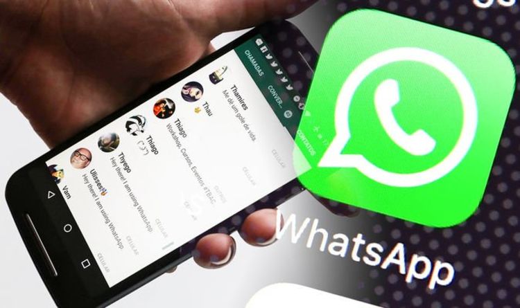 Meta semplifica i messaggi video su WhatsApp