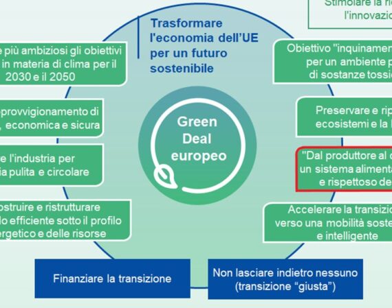 Green Deal europeo : accolto con favore il completamento della legislazione chiave "Fit for 55"